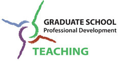 Professional Development: Teaching