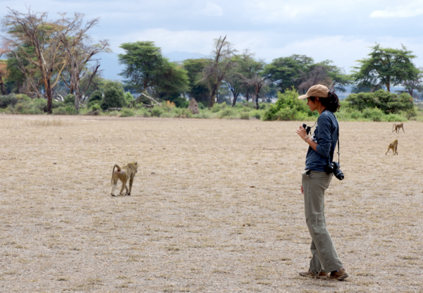 Mauna Dasari observing baboon populations at Amboseli National Park in Kenya for research conducted with Notre Dame Professor Elizabeth Archie (June 2016).